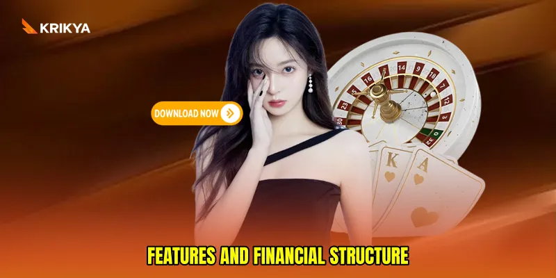 Features and financial structure